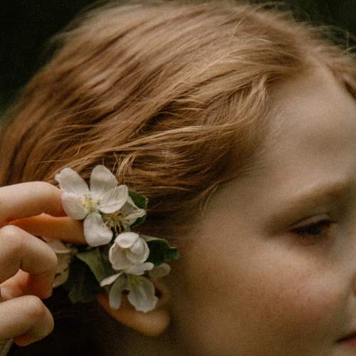 Photo #8357000