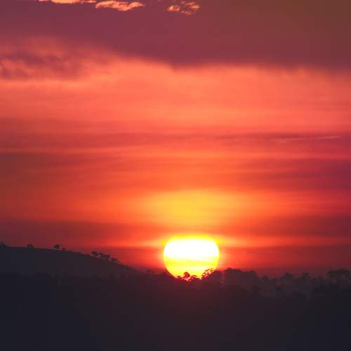 Photo #8357737