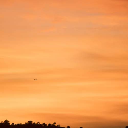 Photo #8357738