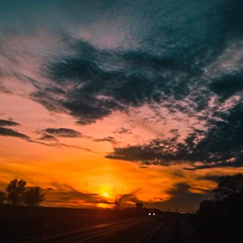Photo #8357966