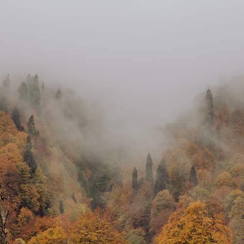 Photo #8358120