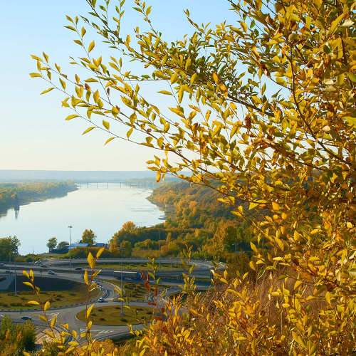 Photo #8358425