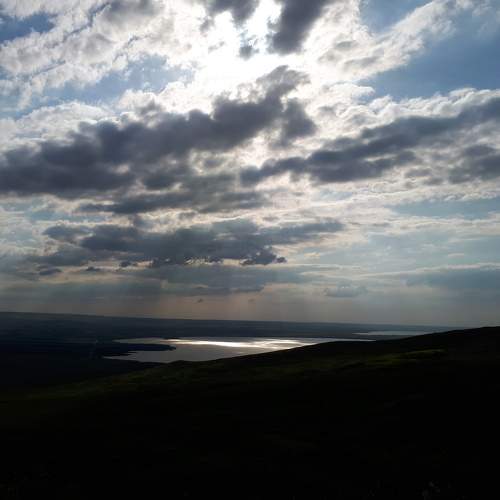 Photo #8358802