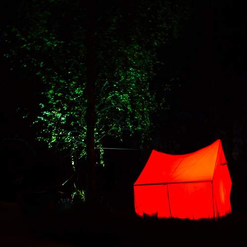 Photo #8359233