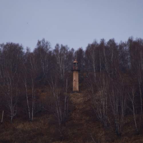 Photo #8359280