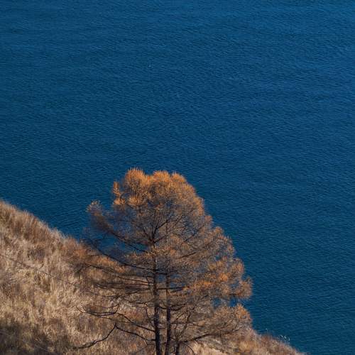 Photo #8359285