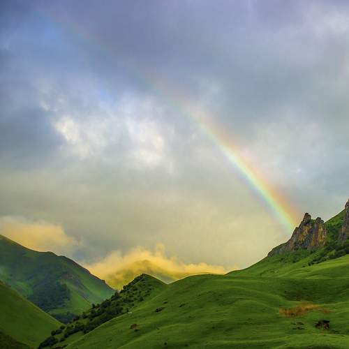 Photo #8359467