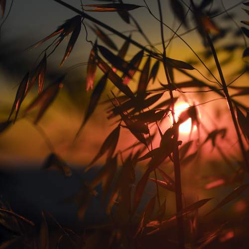 Photo #8359769