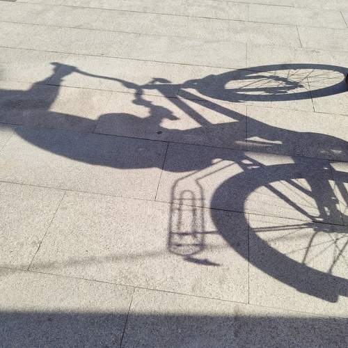 Photo #8359995