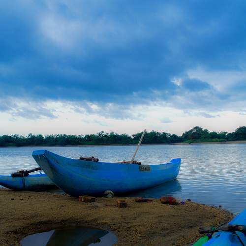 Photo #8360497