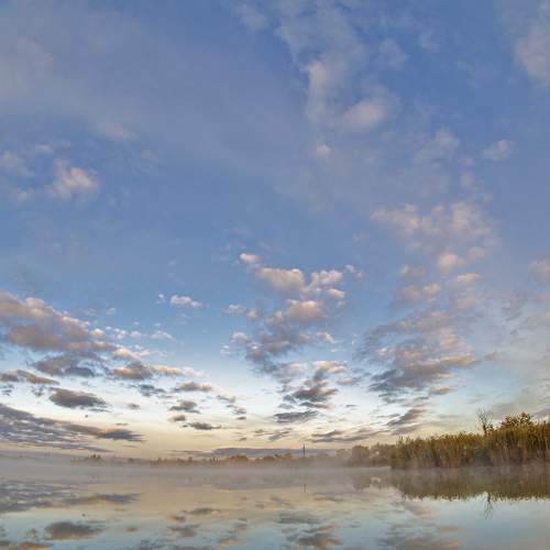 Photo #8360826