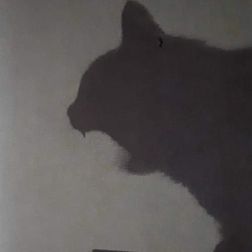 Photo #8361192