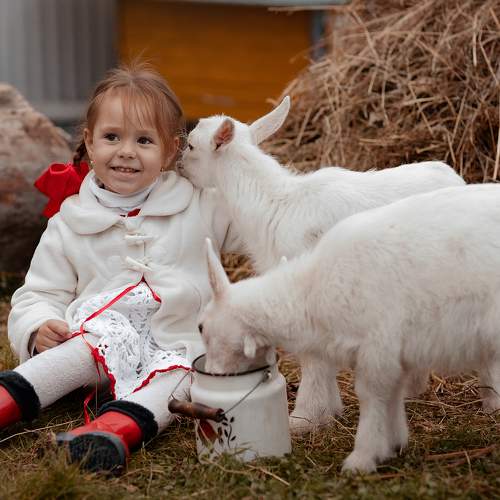 Photo #8361211