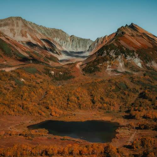 Photo #8361585