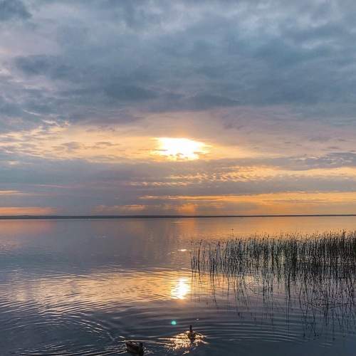 Photo #8361672