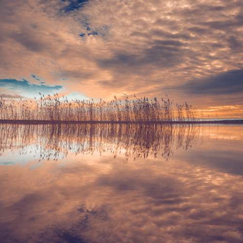Photo #8361803