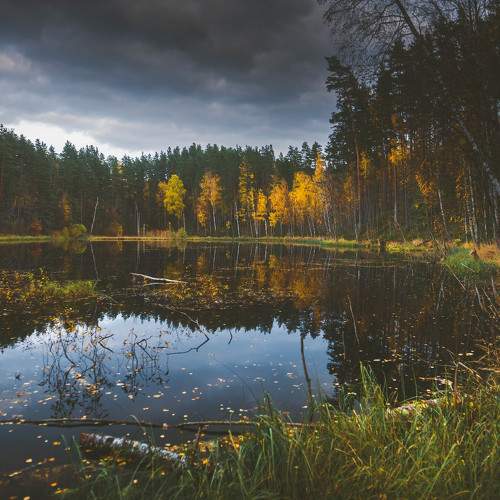 Photo #8361805