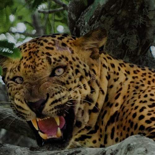 Photo #8362459