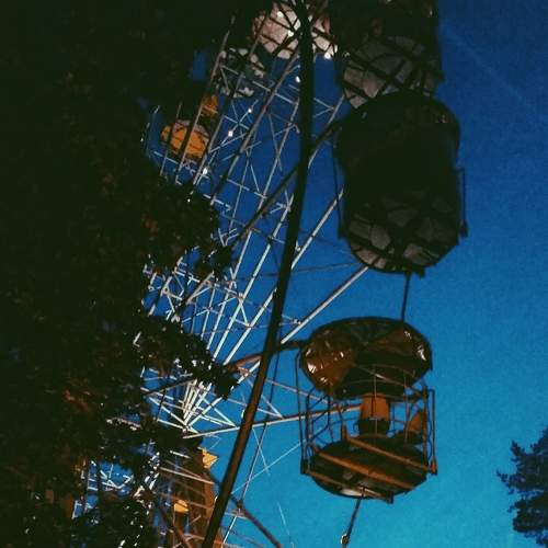 Photo #8362461