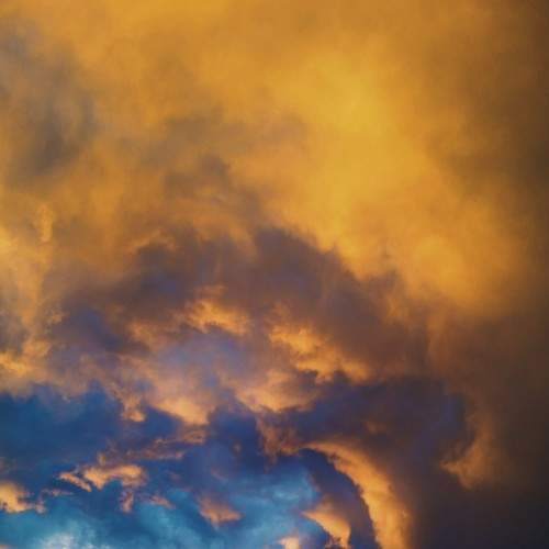 Photo #8362470
