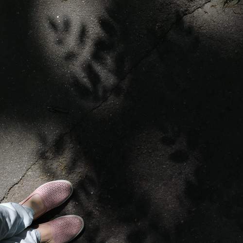 Photo #8362475