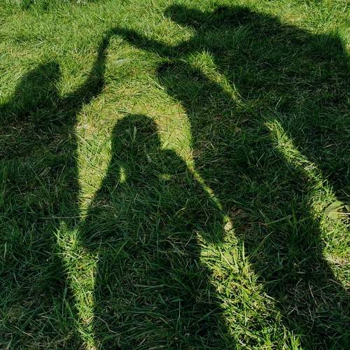 Photo #8362477