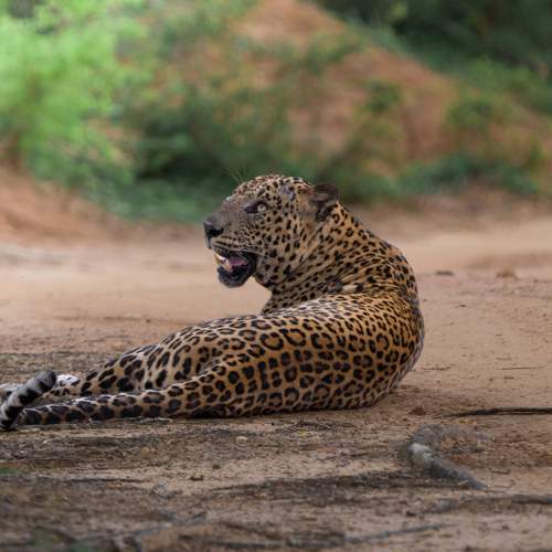 Photo #8362478