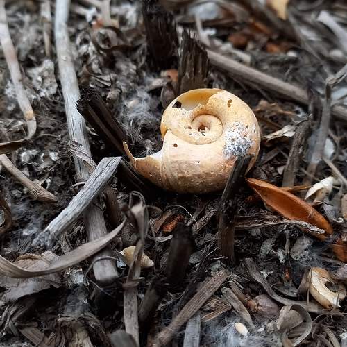 Photo #8362506