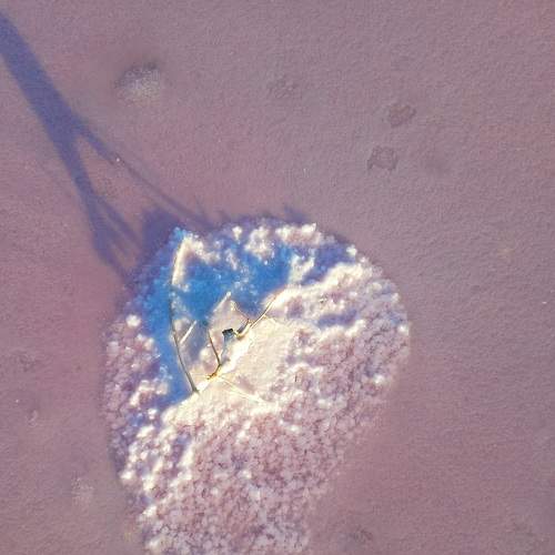 Photo #8362522