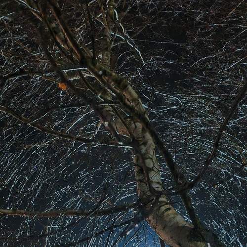 Photo #8362767