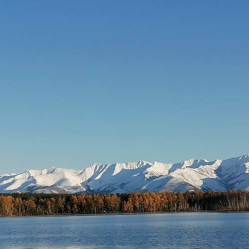 Photo #8362939