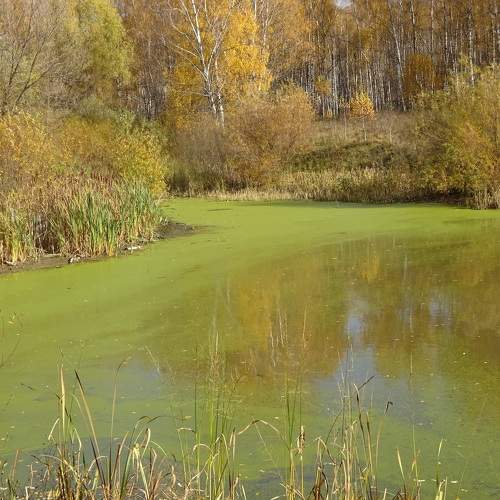 Photo #8363103