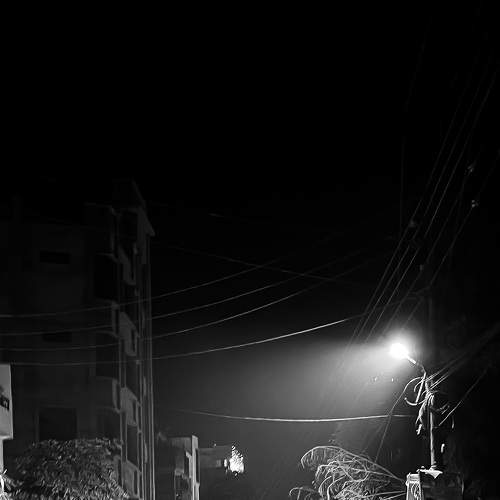 Photo #8363511