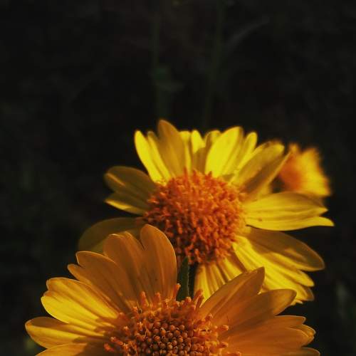 Photo #8363537