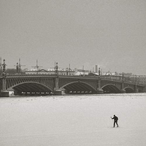 Photo #8364045
