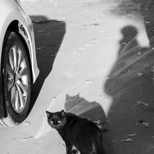 Photo #8364670