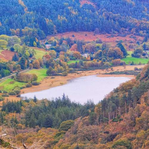 Photo #8364704