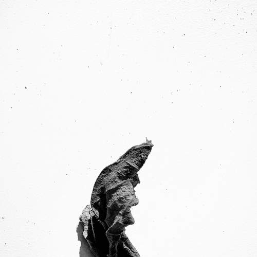 Photo #8364867