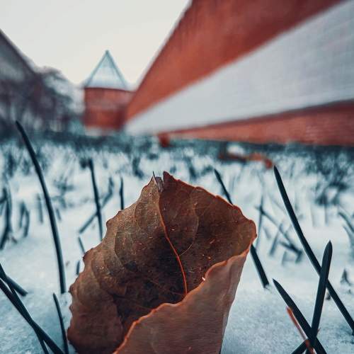 Фотография #8364902