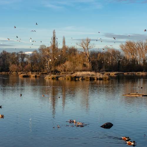 Photo #8364937
