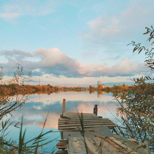 Photo #8365222