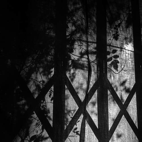 Photo #8365466