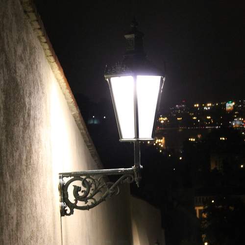 Photo #8365642