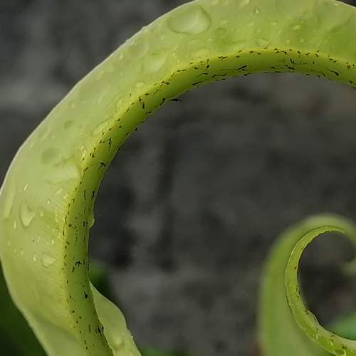 Photo #8365861