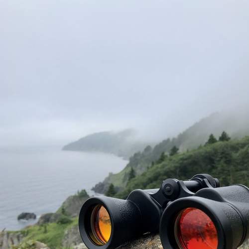 Photo #8365914