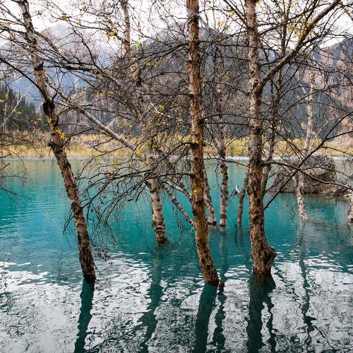 Photo #8366020