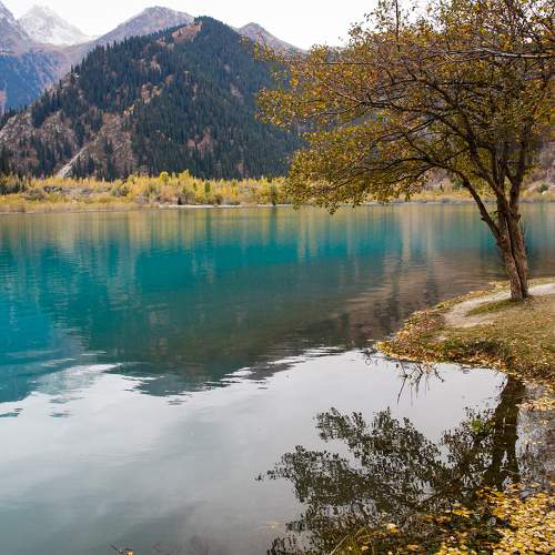 Photo #8366021