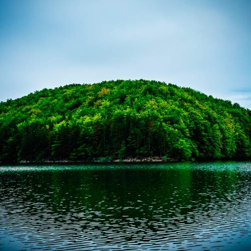 Photo #8366378