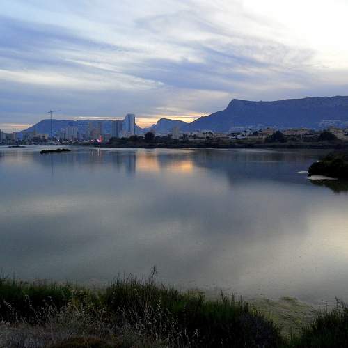 Photo #8366478