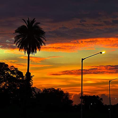 Photo #8366570